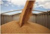 Безопасность экспортного зерна под контролем